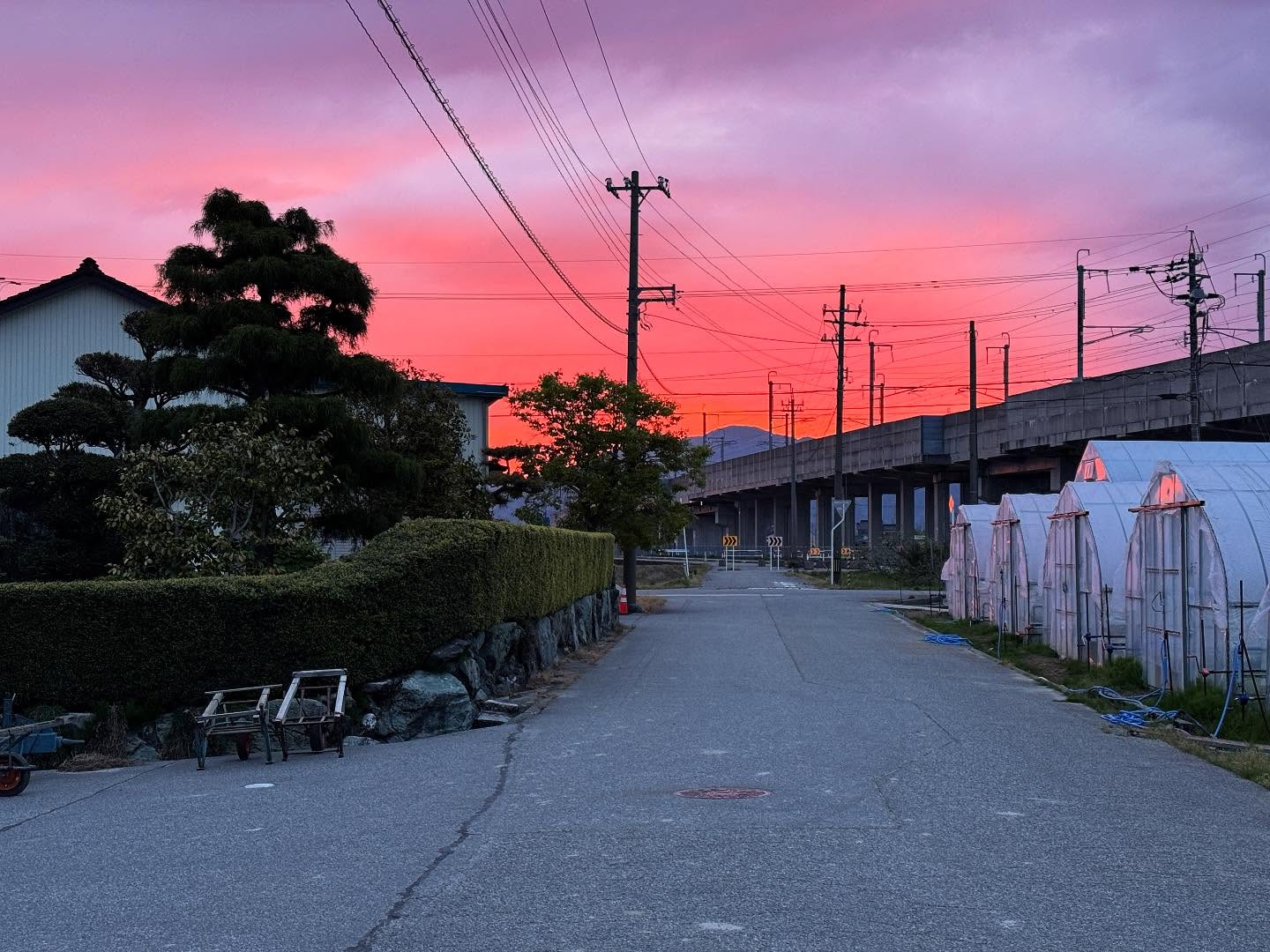 Instagramに投稿しました