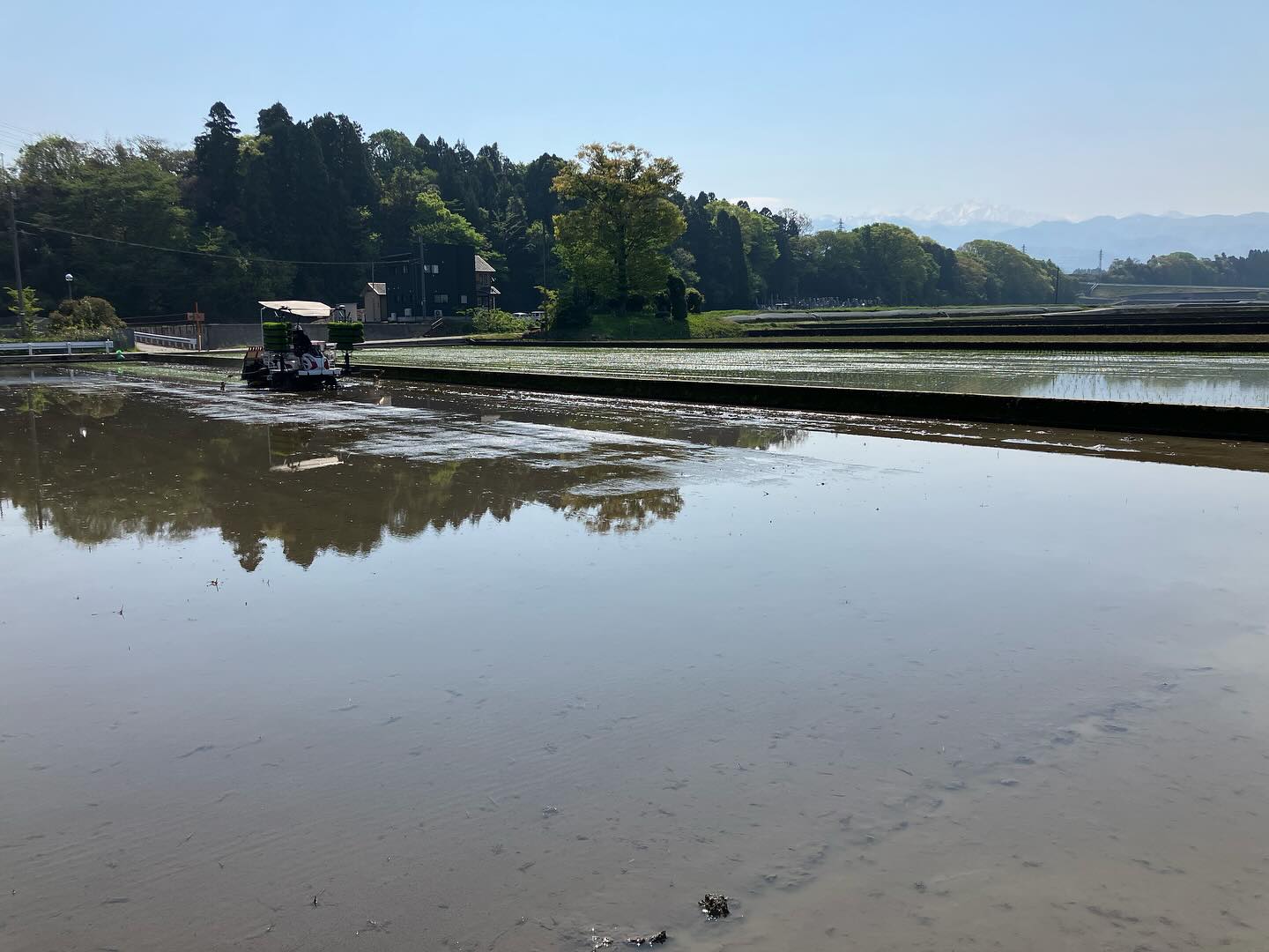 Instagramに投稿しました