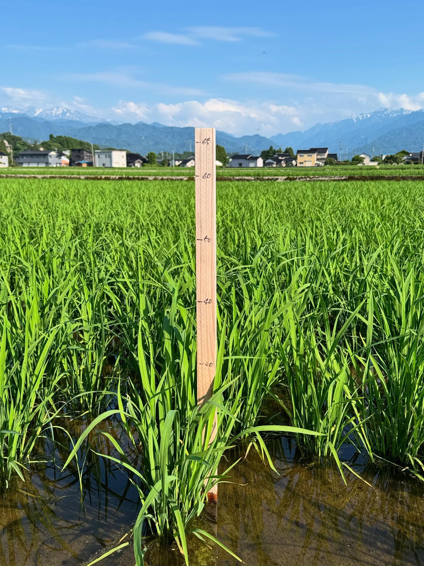 Instagramに投稿しました