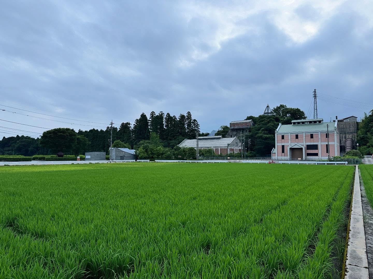 Instagramに投稿しました