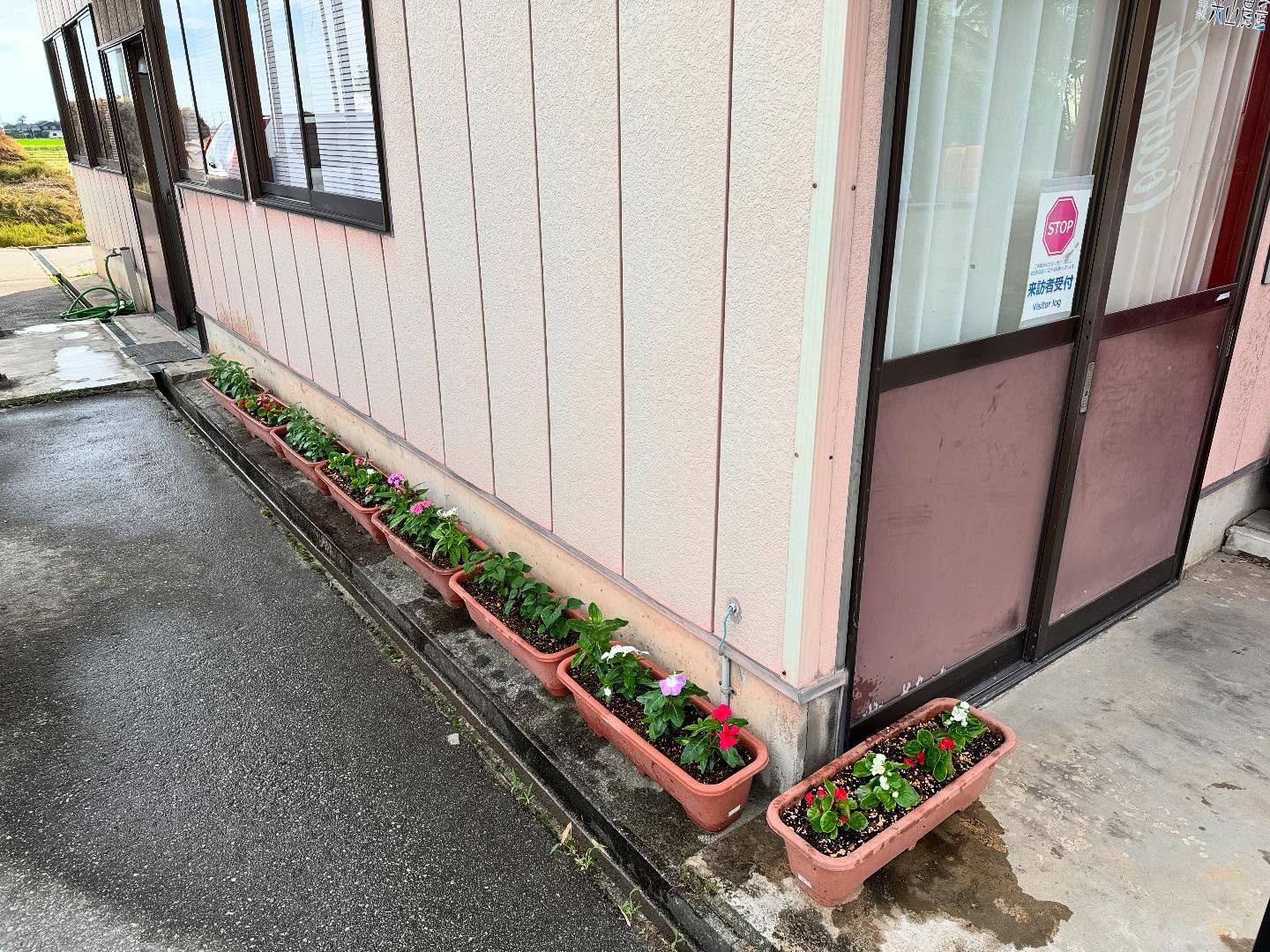 Instagramに投稿しました