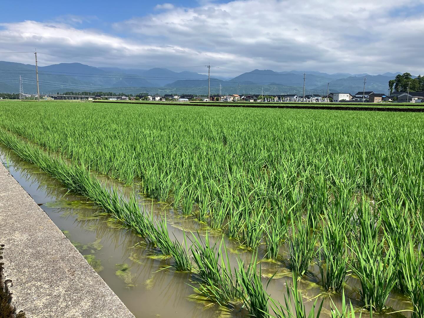 Instagramに投稿しました