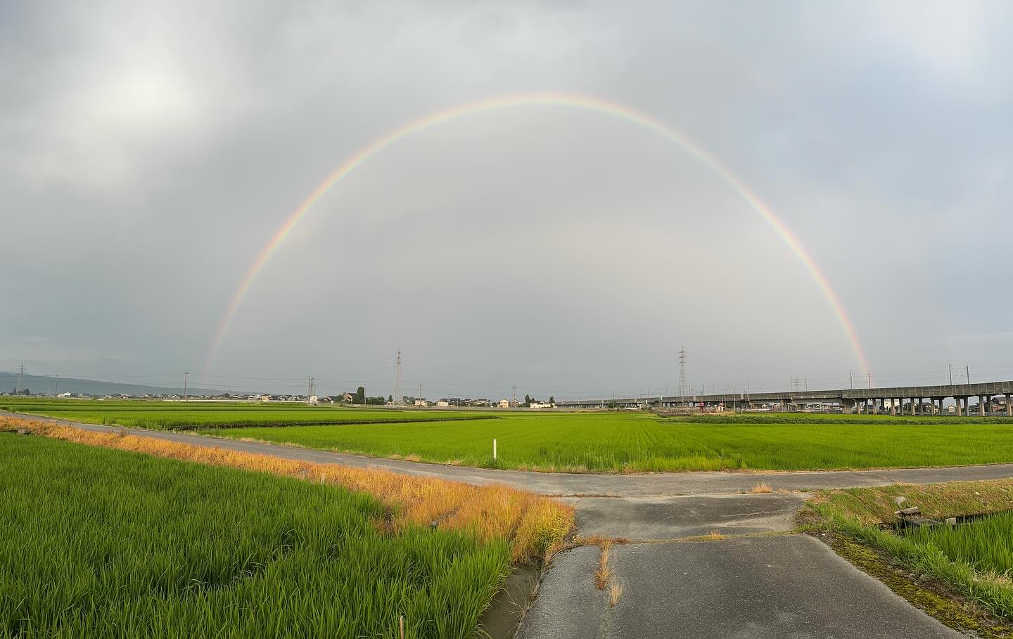 Instagramに投稿しました