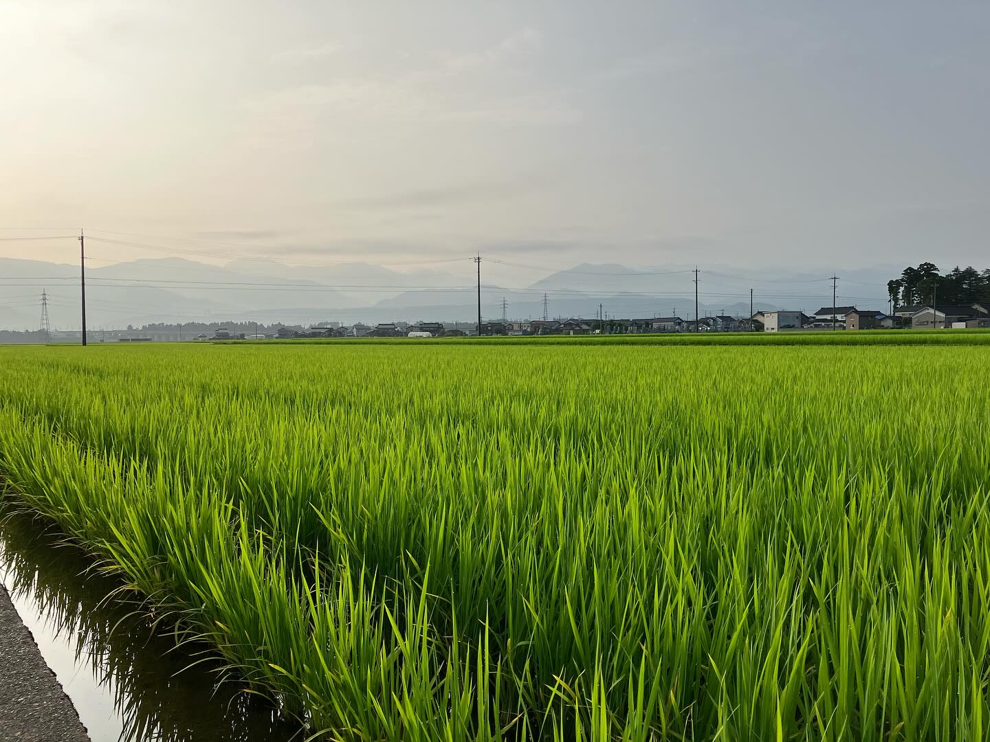 Instagramに投稿しました