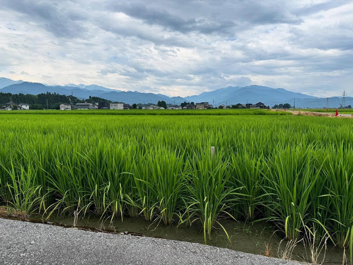 Instagramに投稿しました