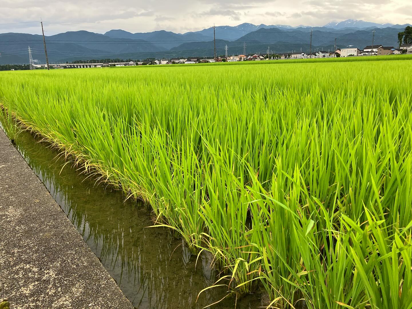 Instagramに投稿しました