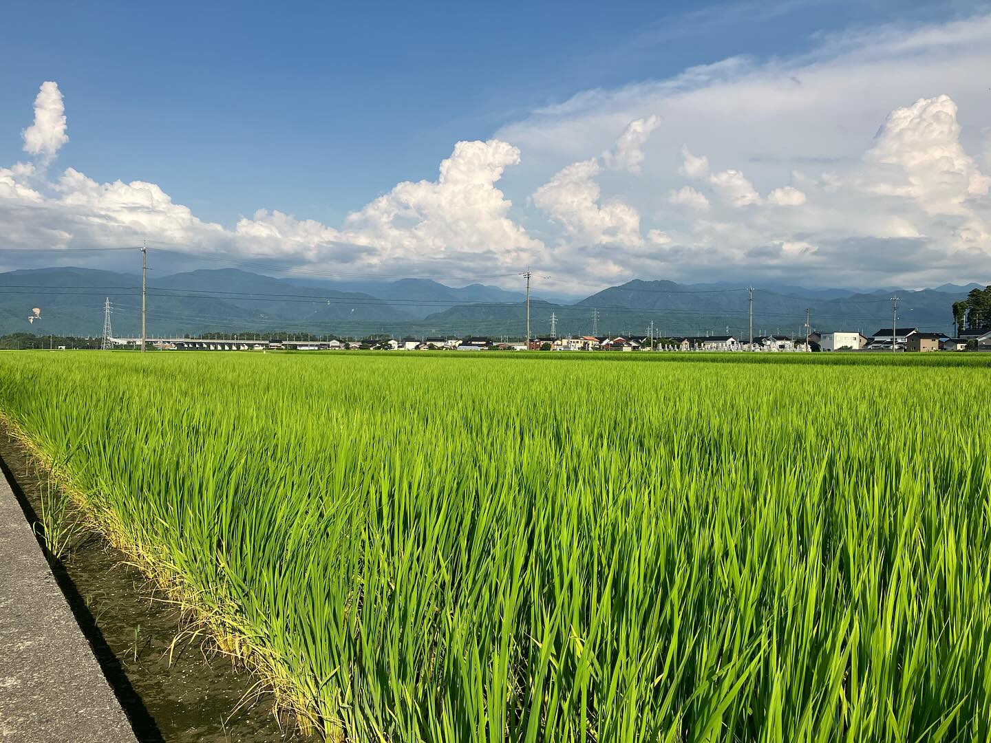 Instagramに投稿しました