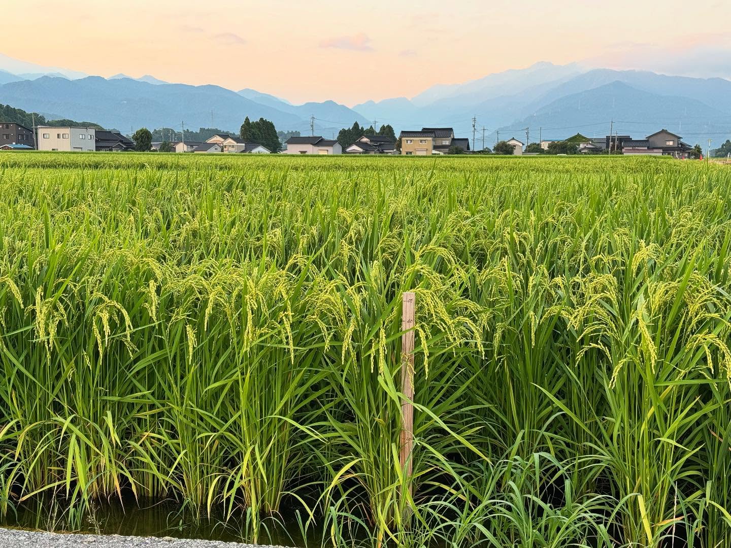 Instagramに投稿しました