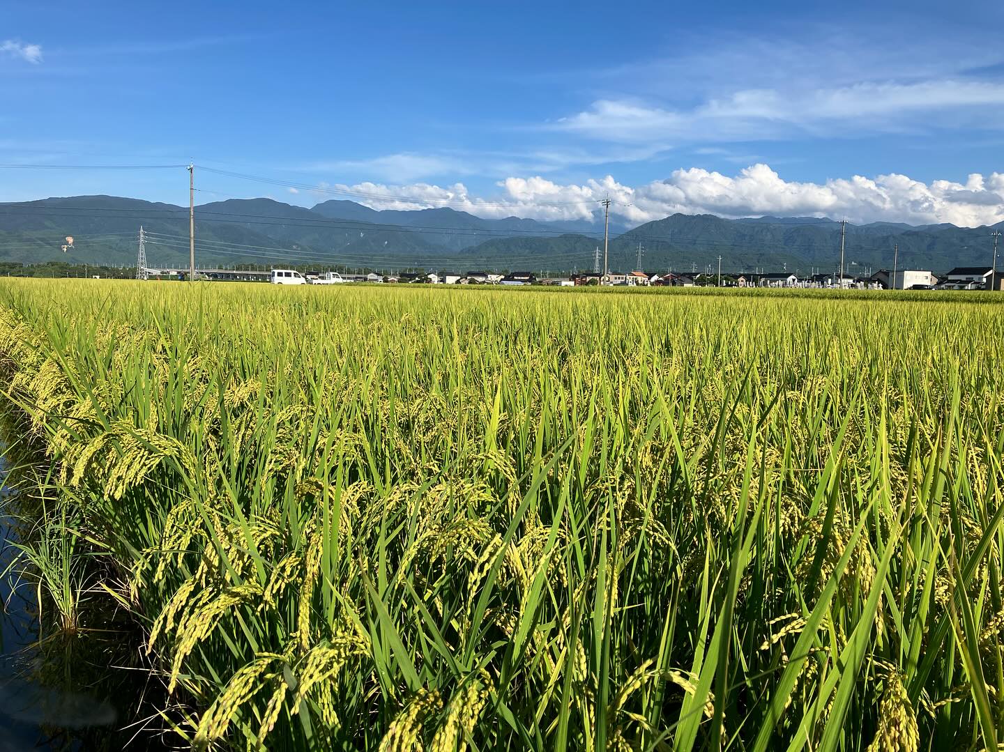 Instagramに投稿しました