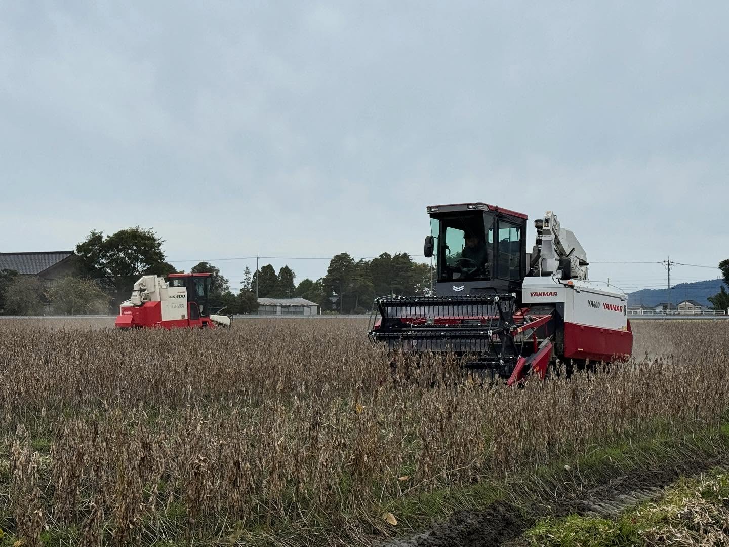 Instagramに投稿しました