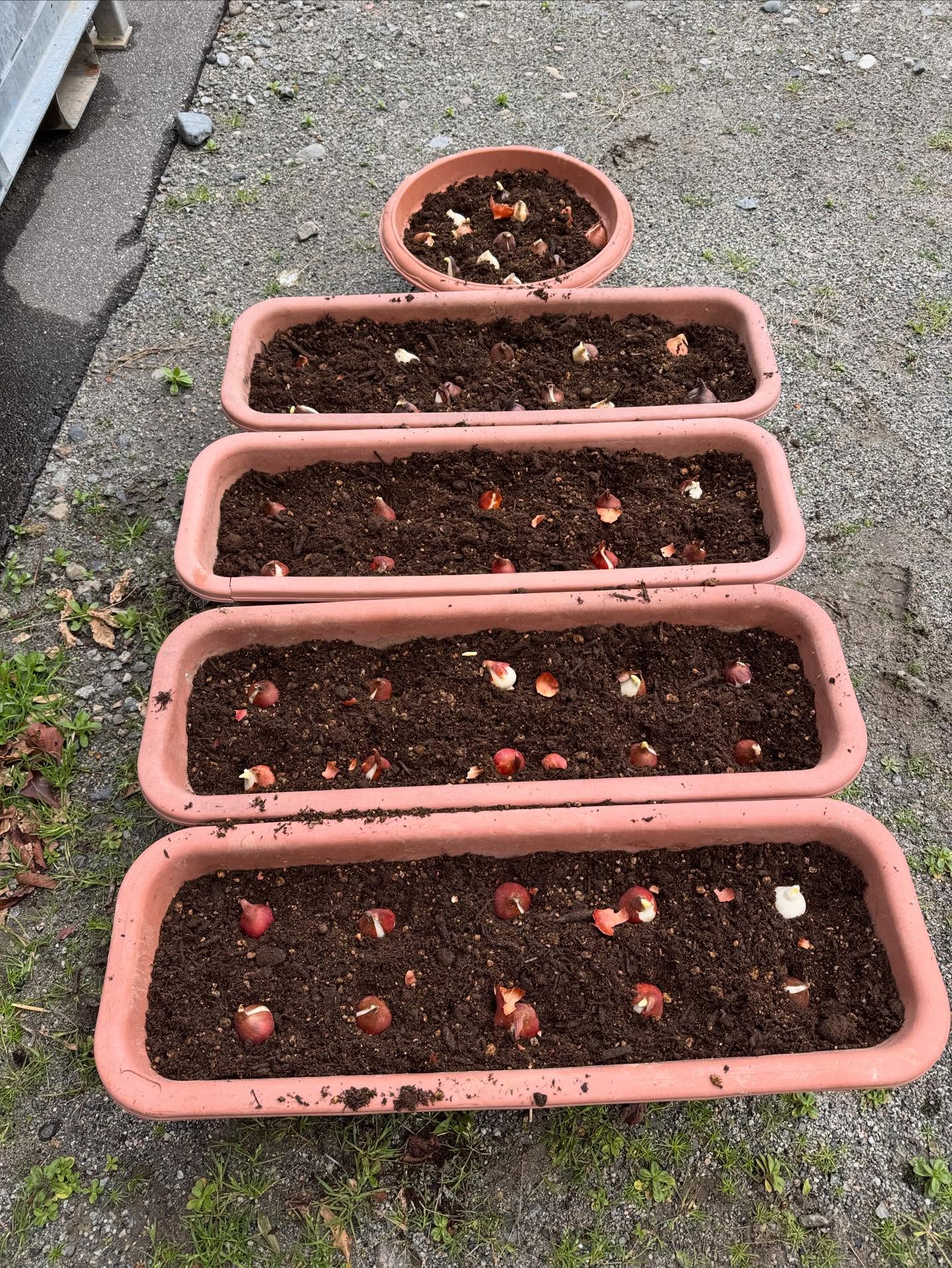 Instagramに投稿しました