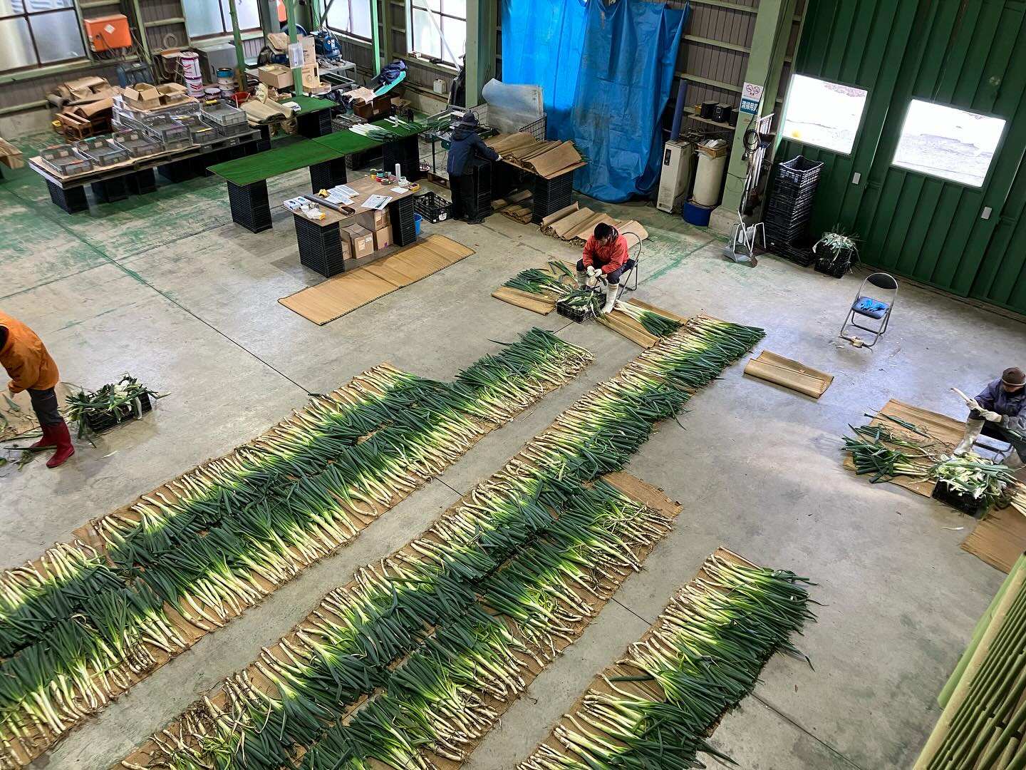 Instagramに投稿しました