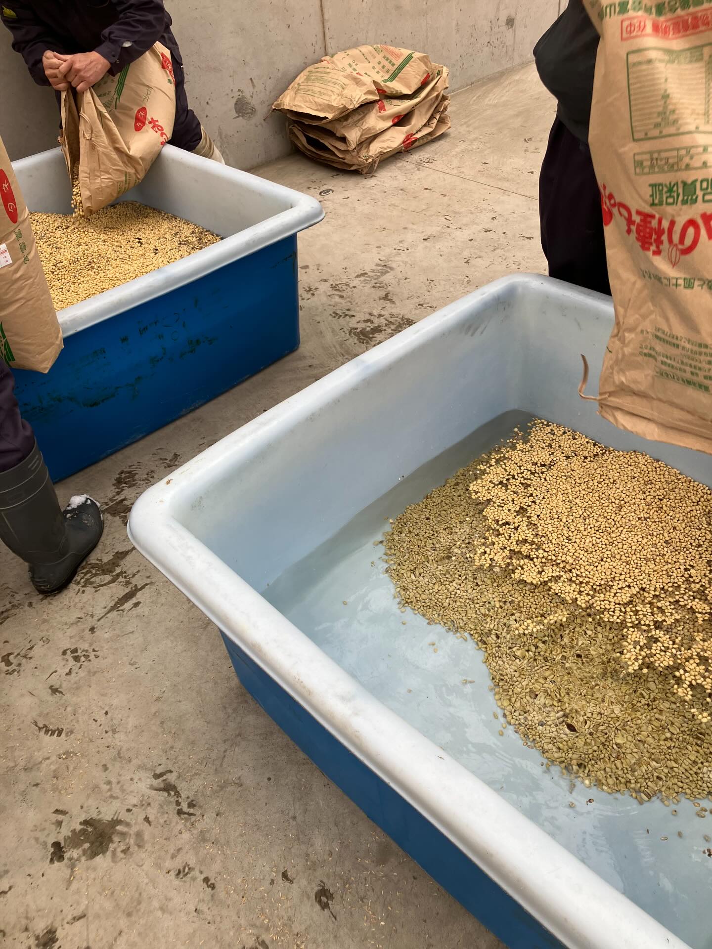 Instagramに投稿しました