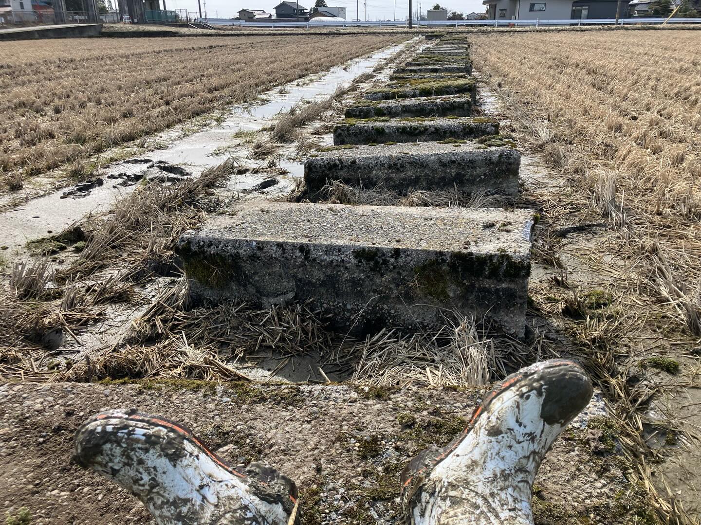 Instagramに投稿しました