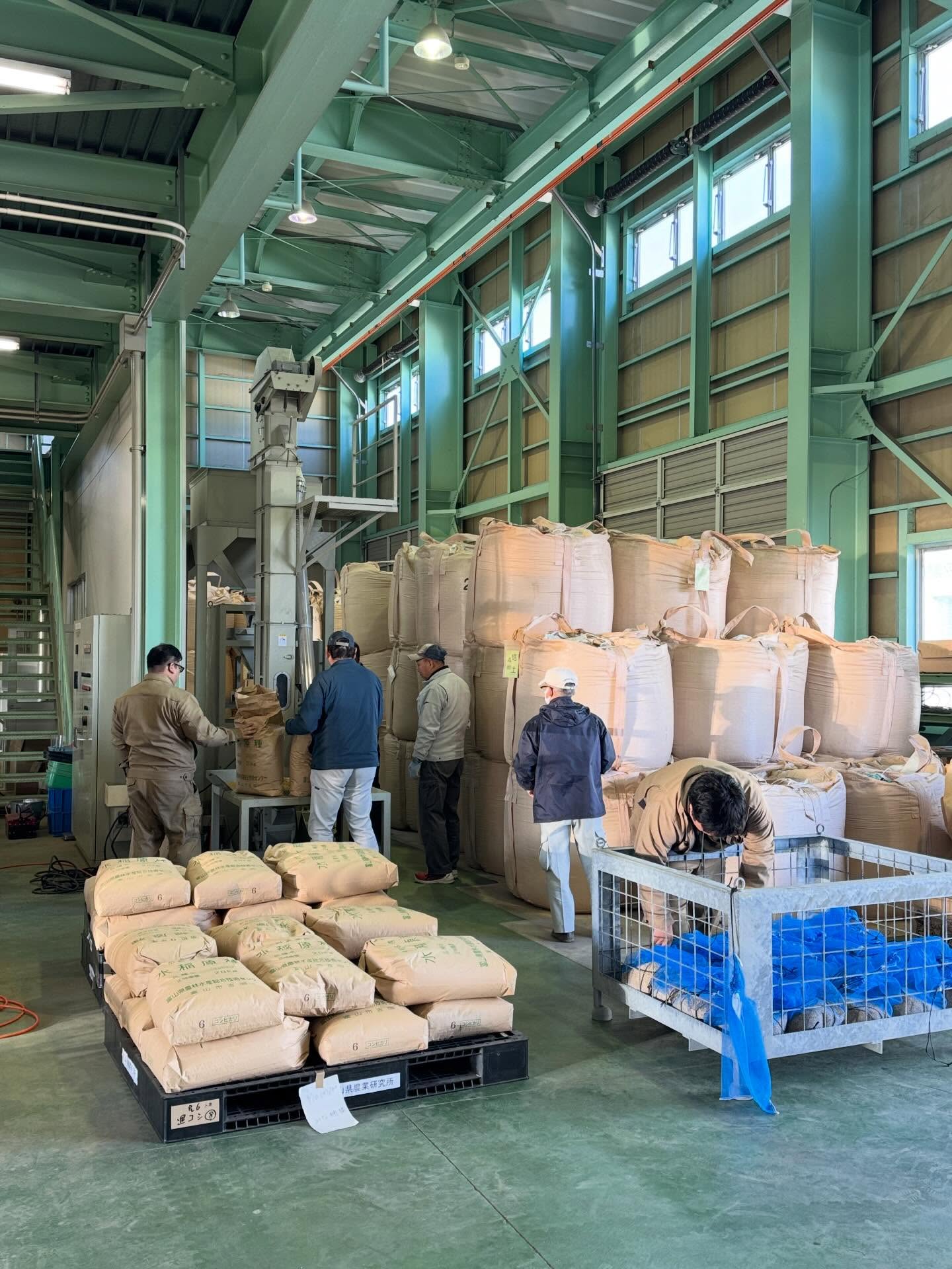 Instagramに投稿しました