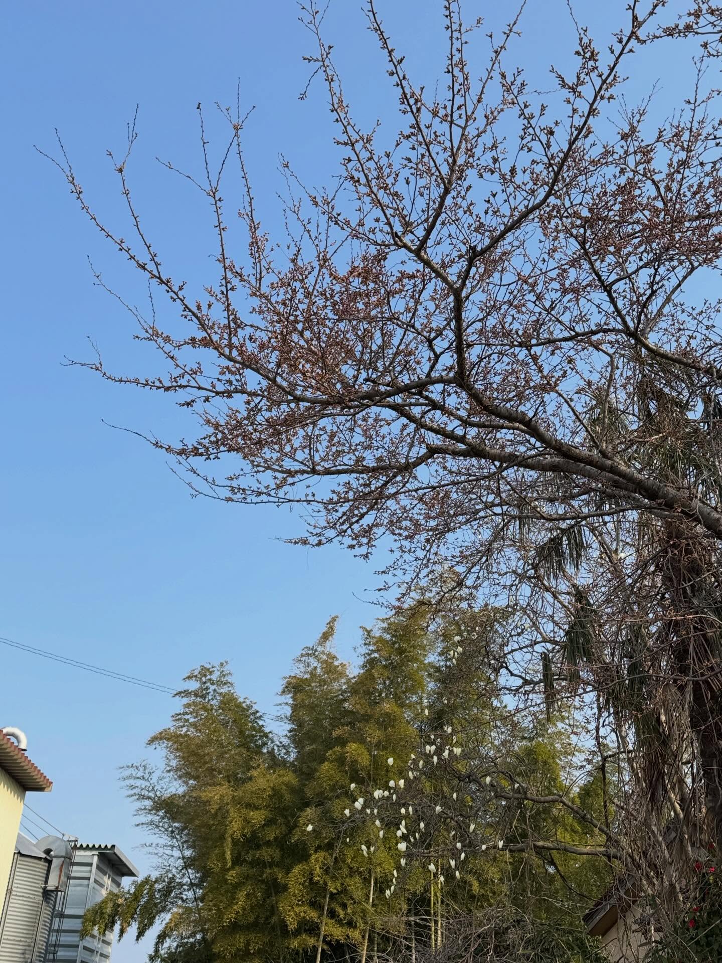 Instagramに投稿しました