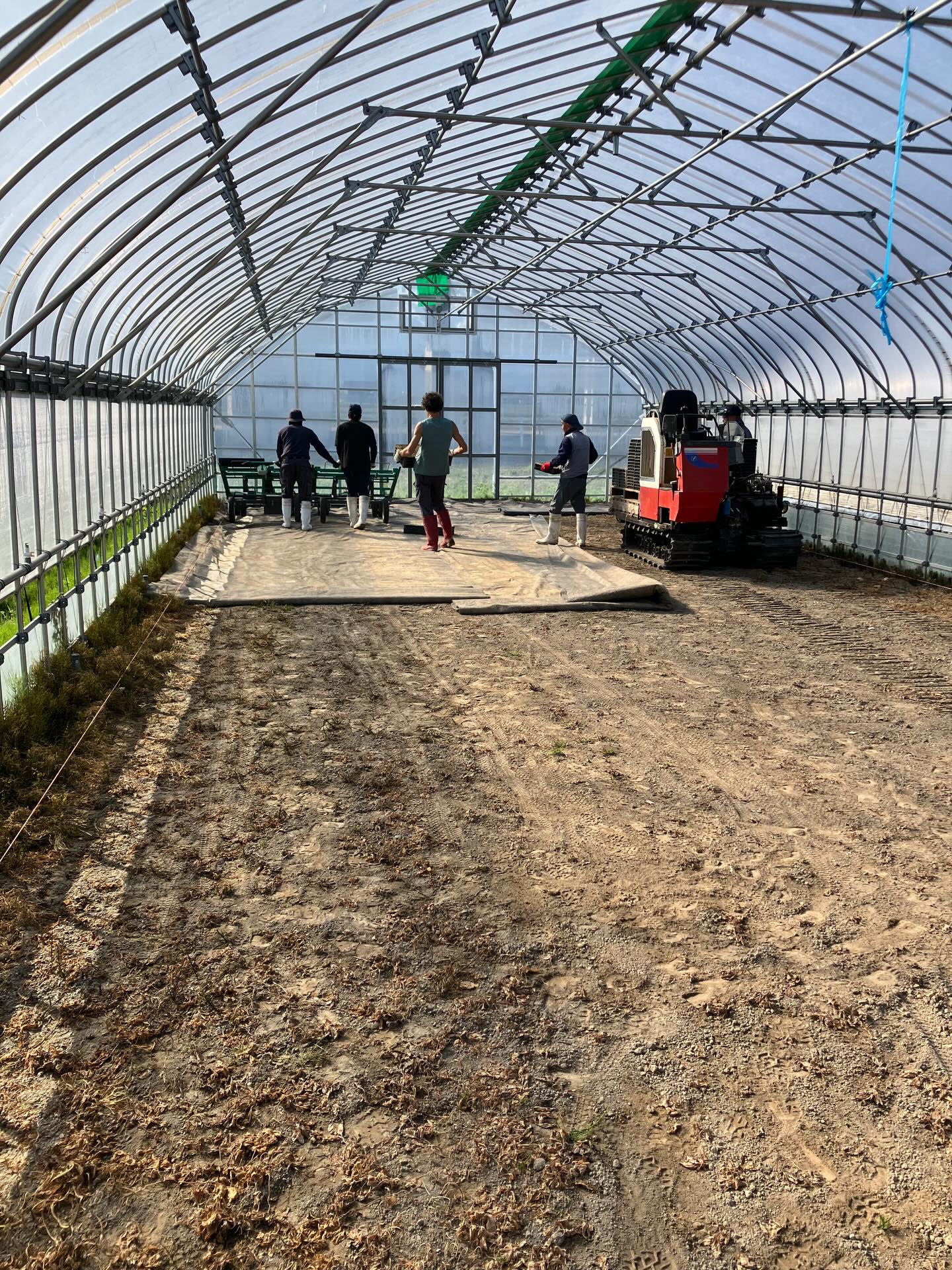 Instagramに投稿しました