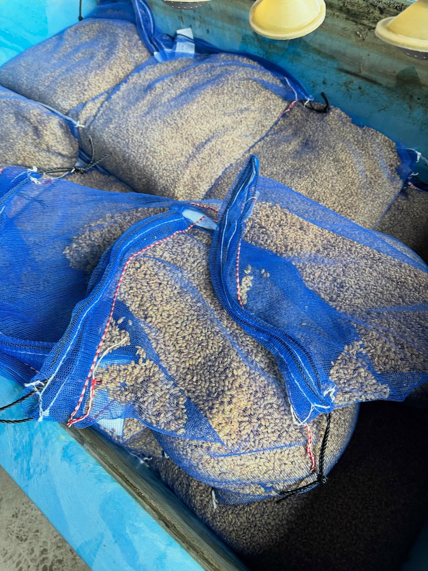 Instagramに投稿しました