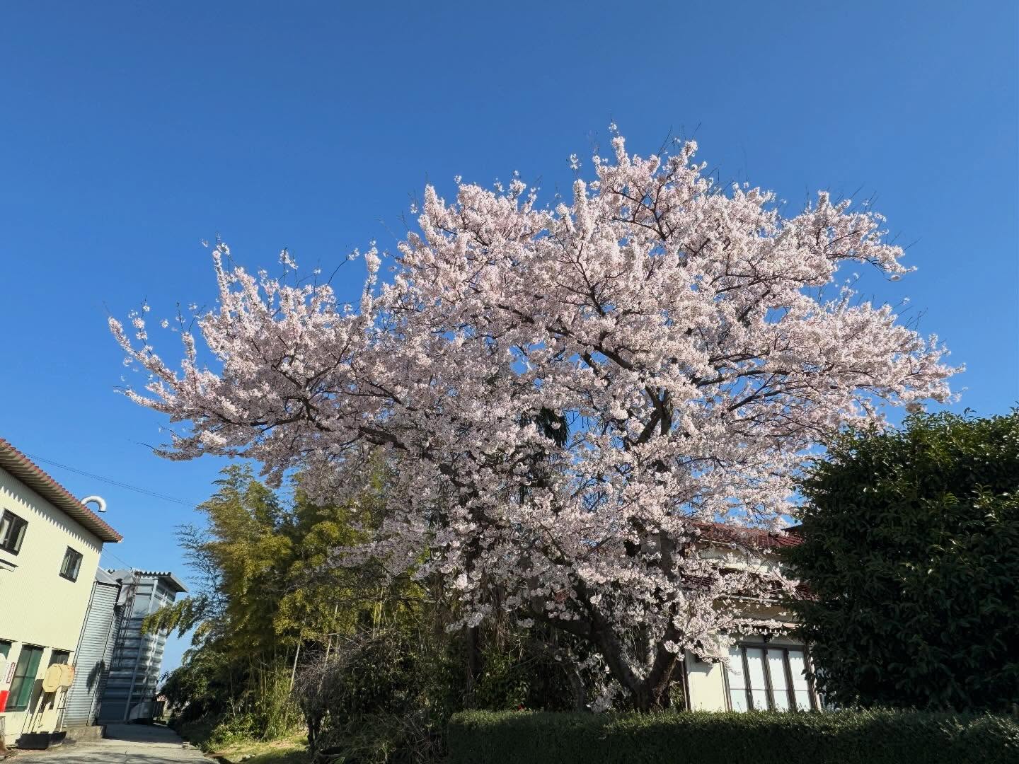 Instagramに投稿しました