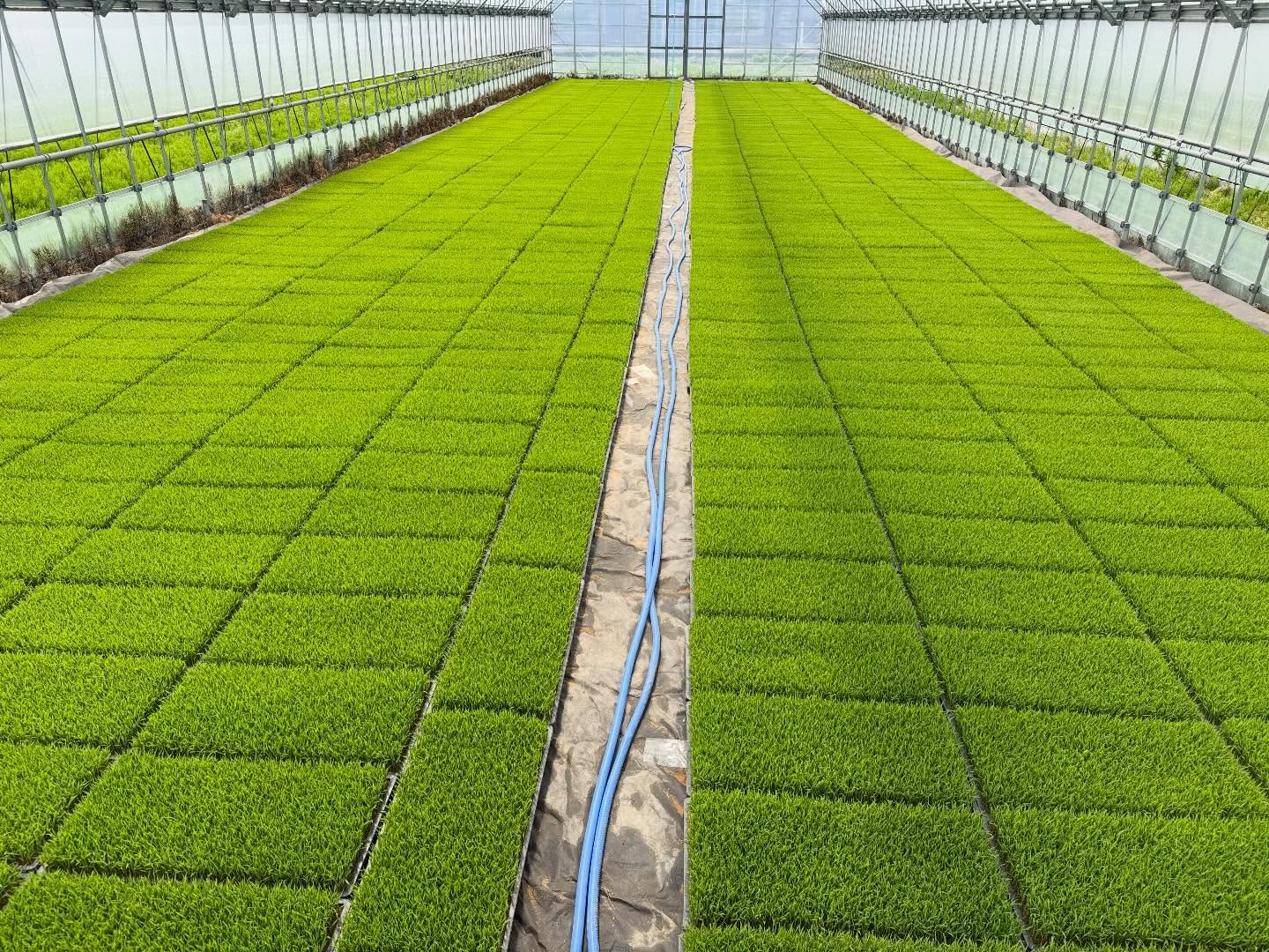 Instagramに投稿しました