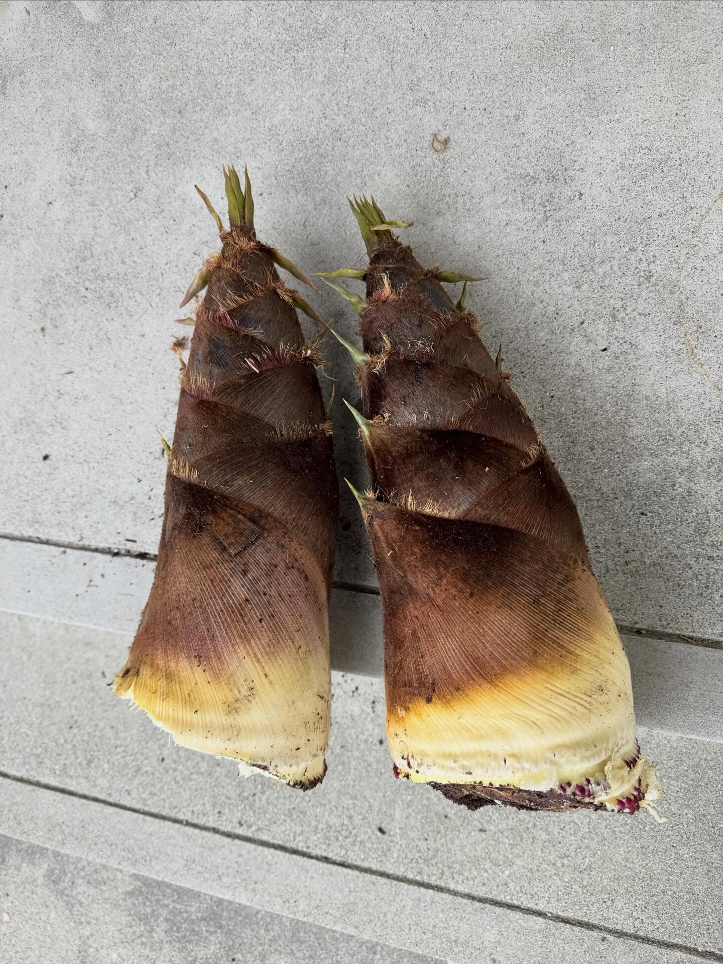 Instagramに投稿しました