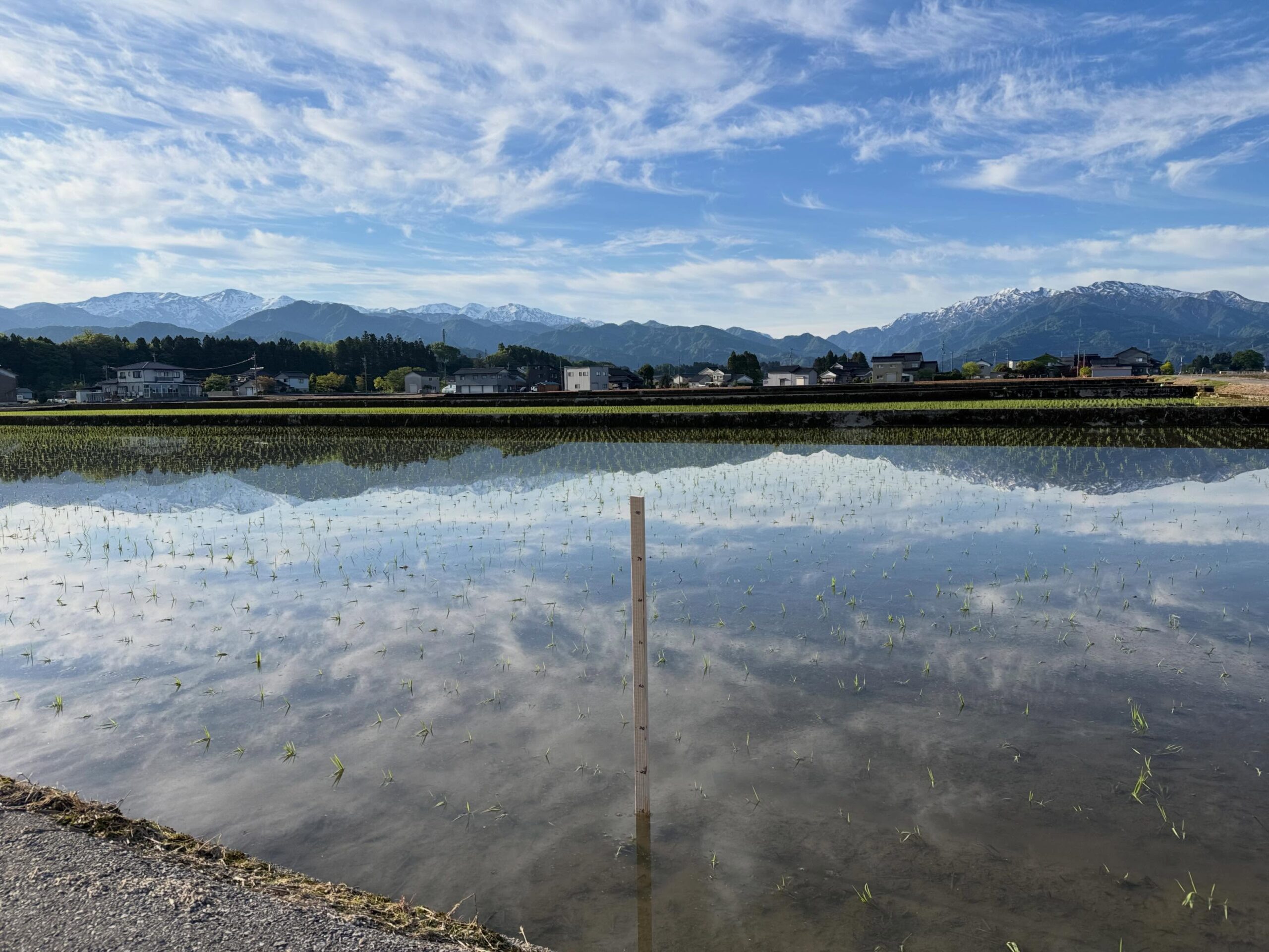 Instagramに投稿しました