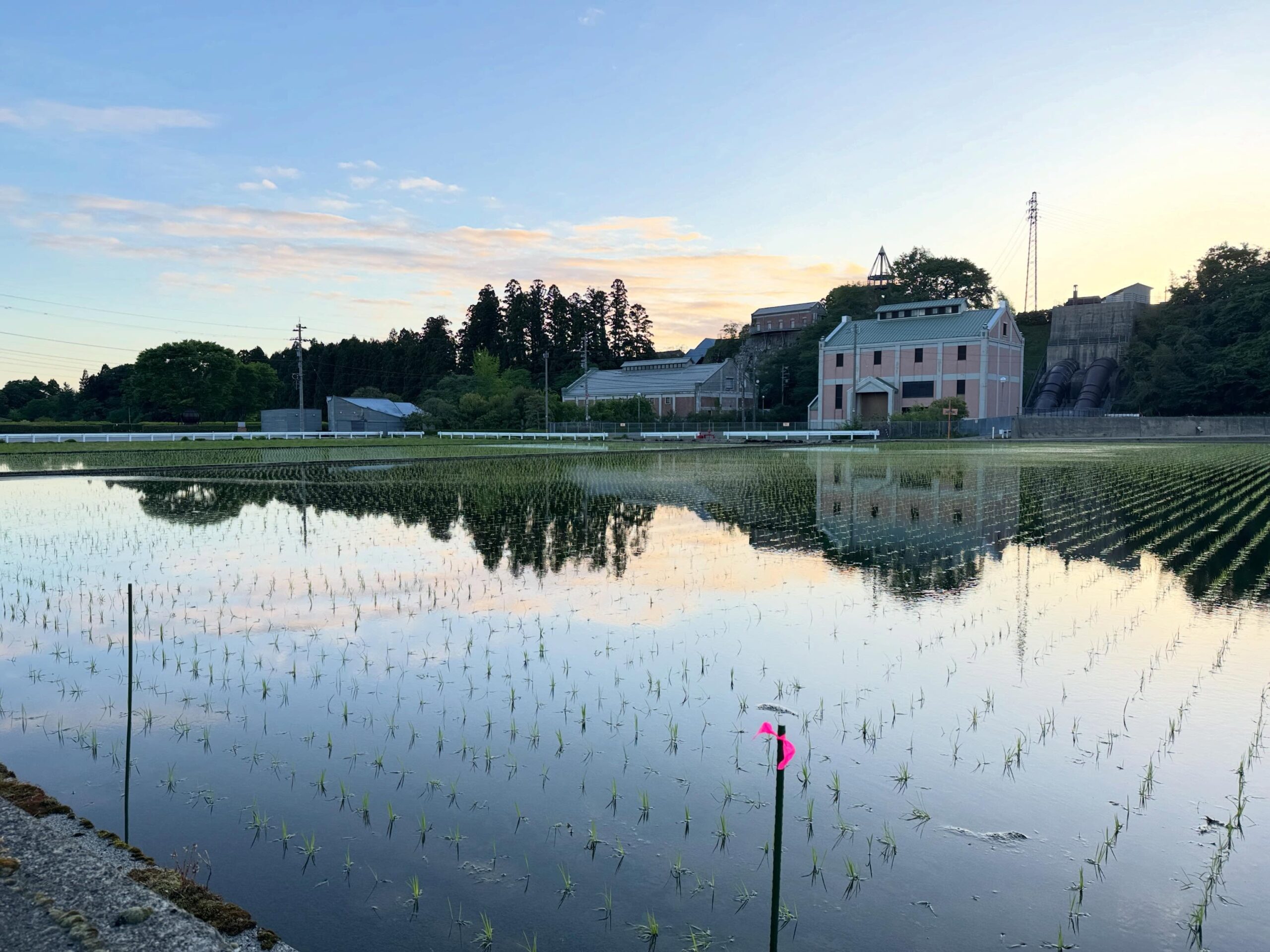 Instagramに投稿しました