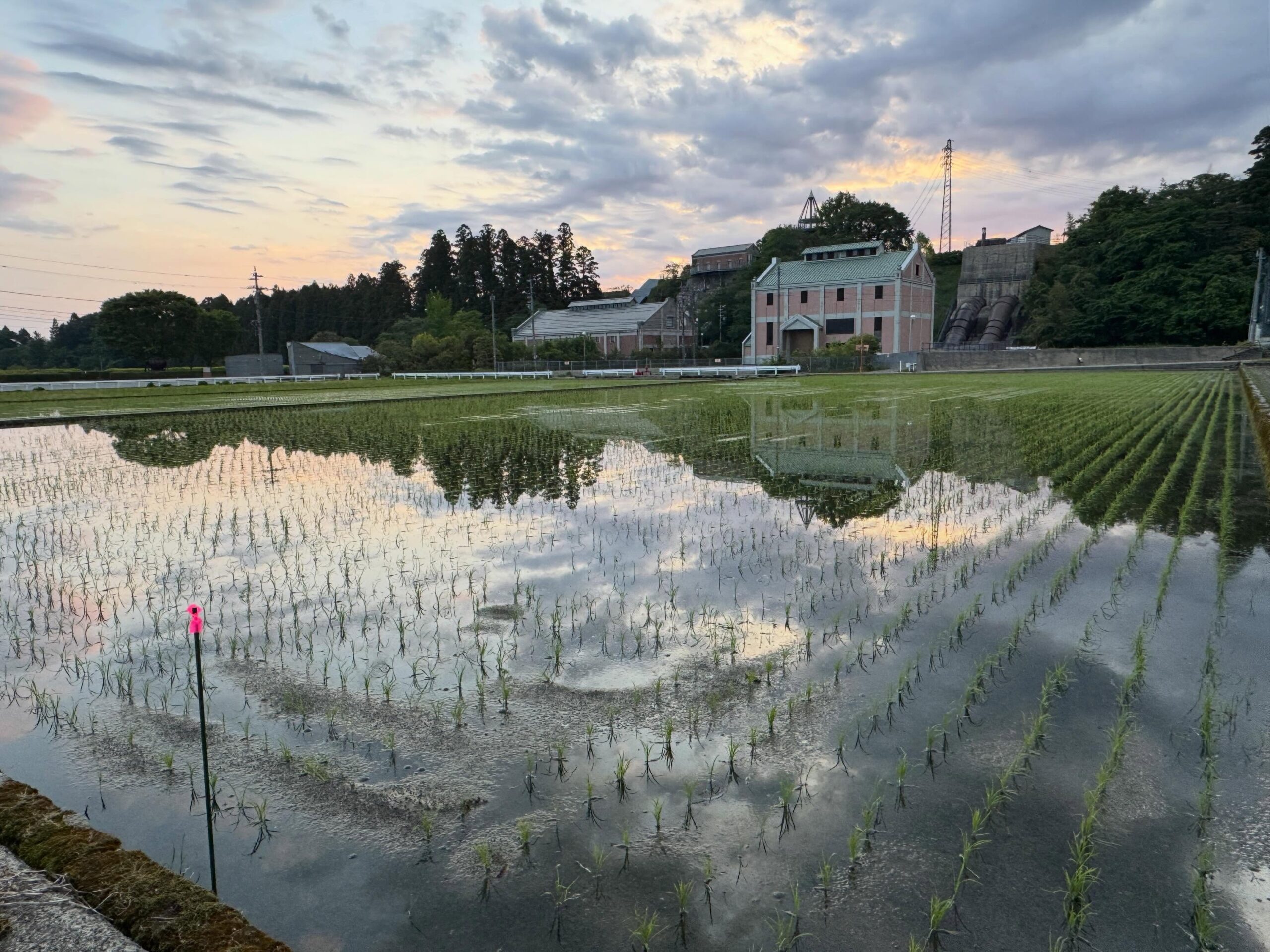 Instagramに投稿しました
