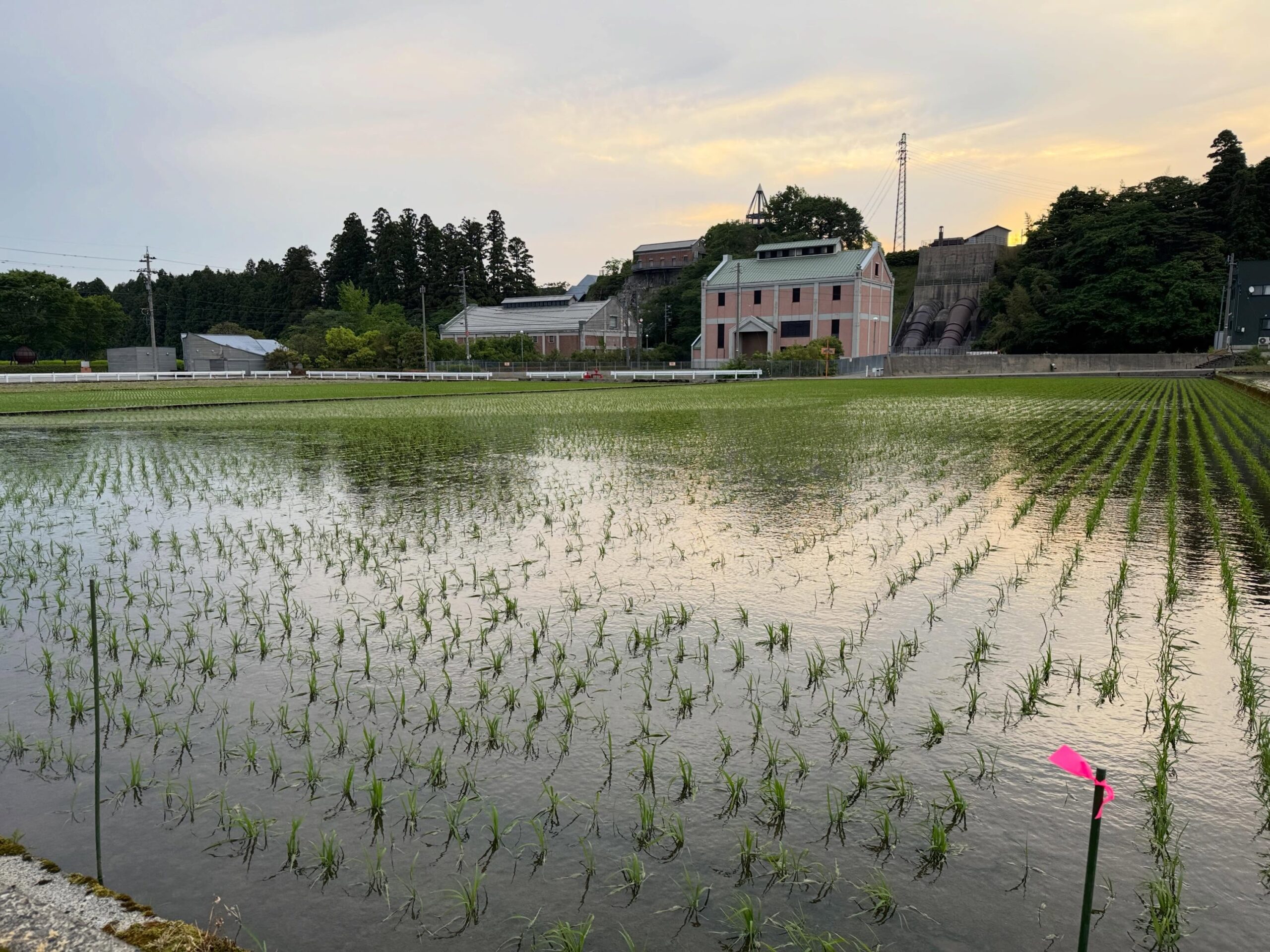 Instagramに投稿しました