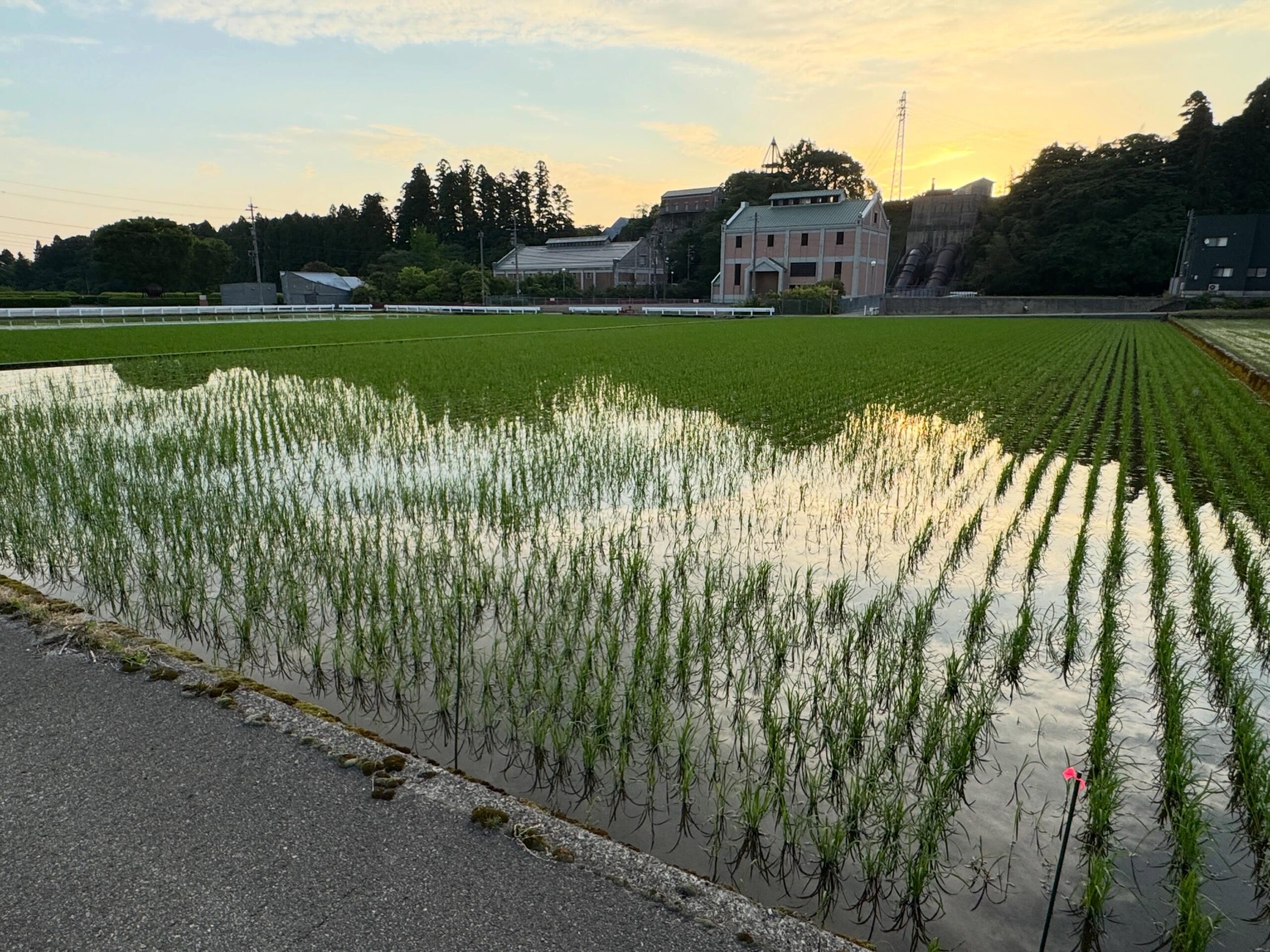 Instagramに投稿しました