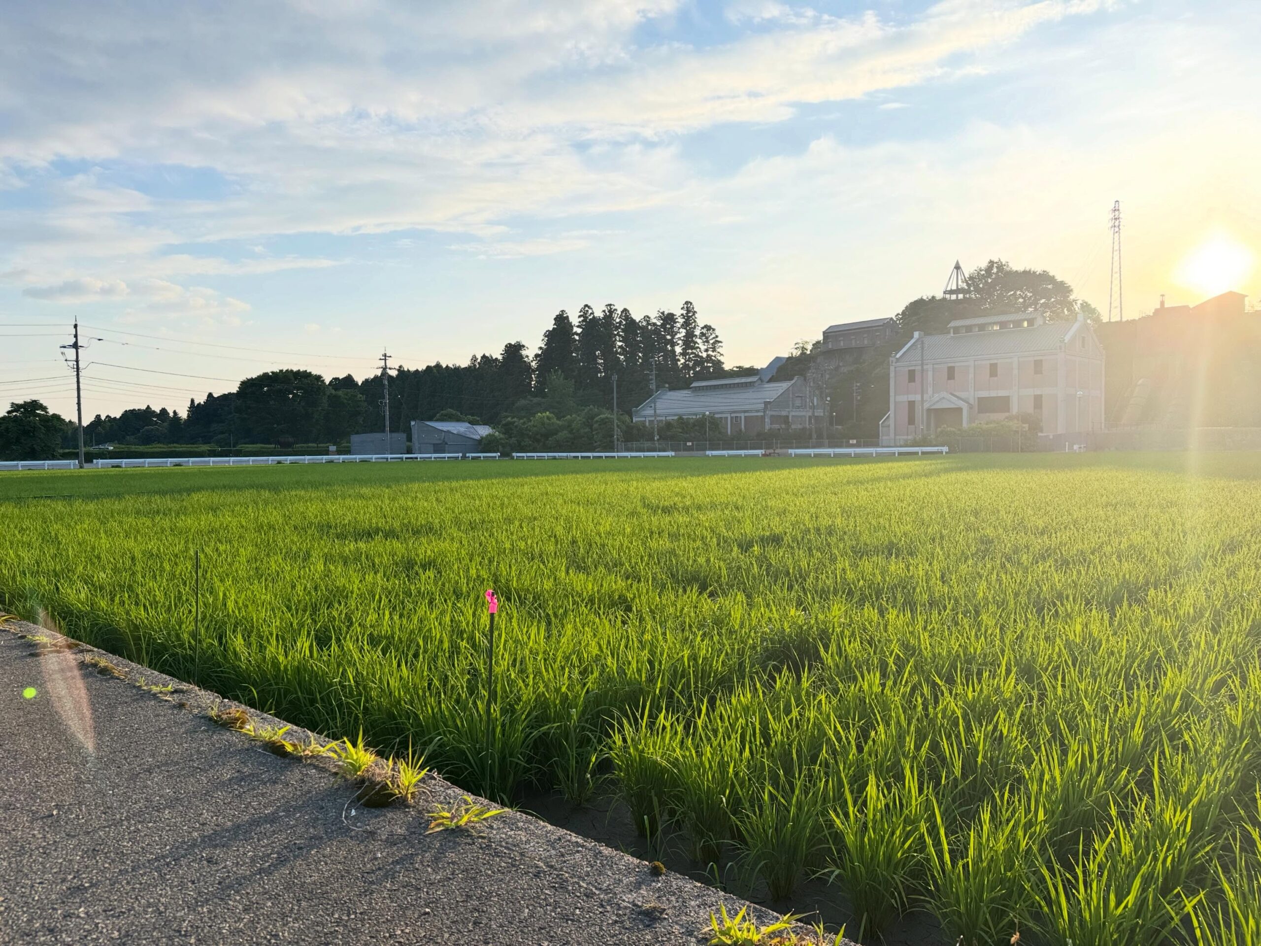 Instagramに投稿しました