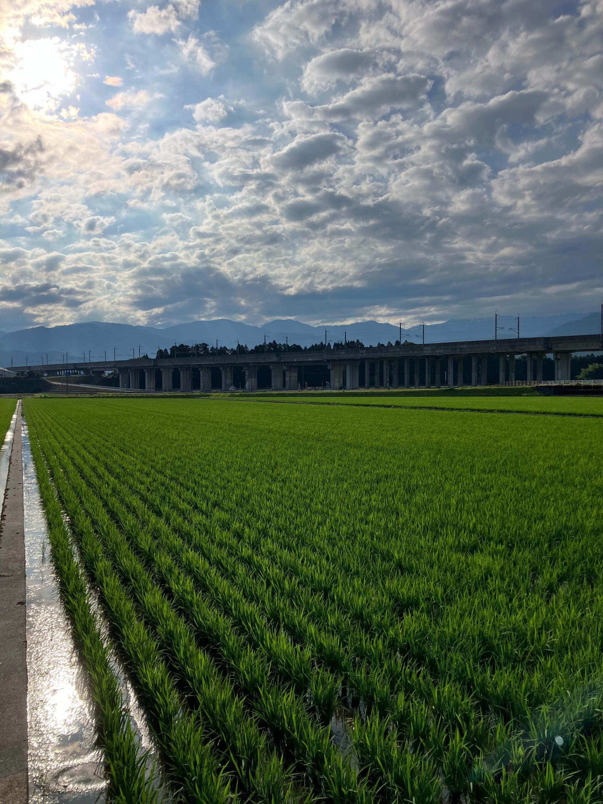 Instagramに投稿しました