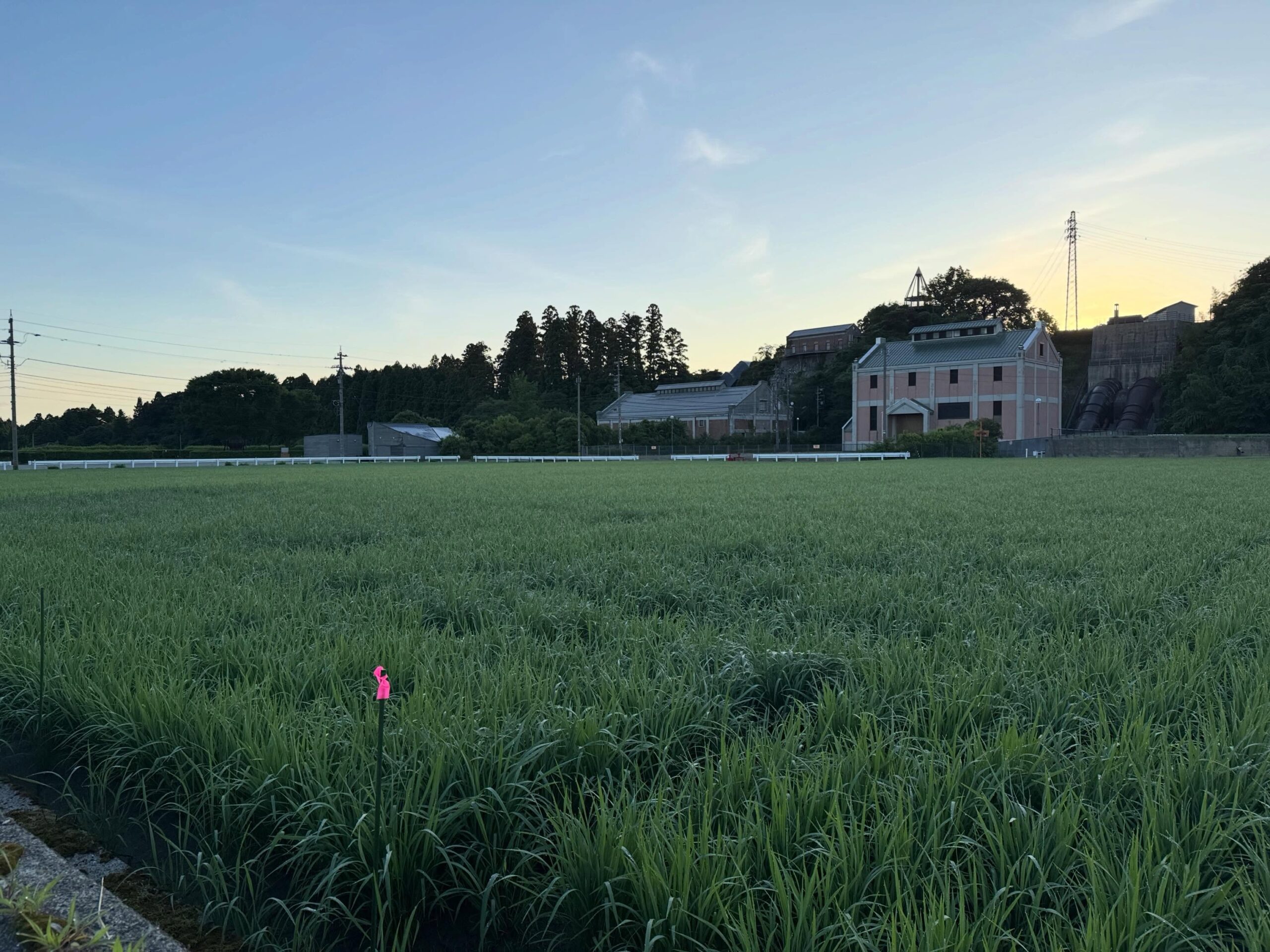 Instagramに投稿しました