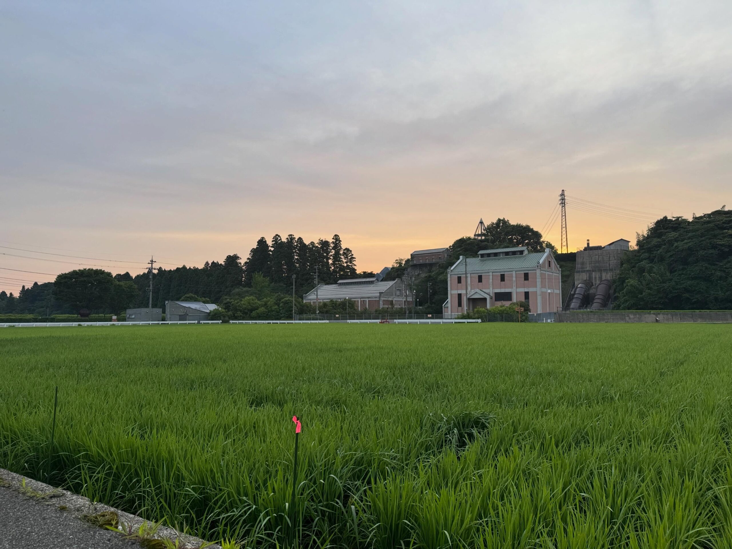 Instagramに投稿しました