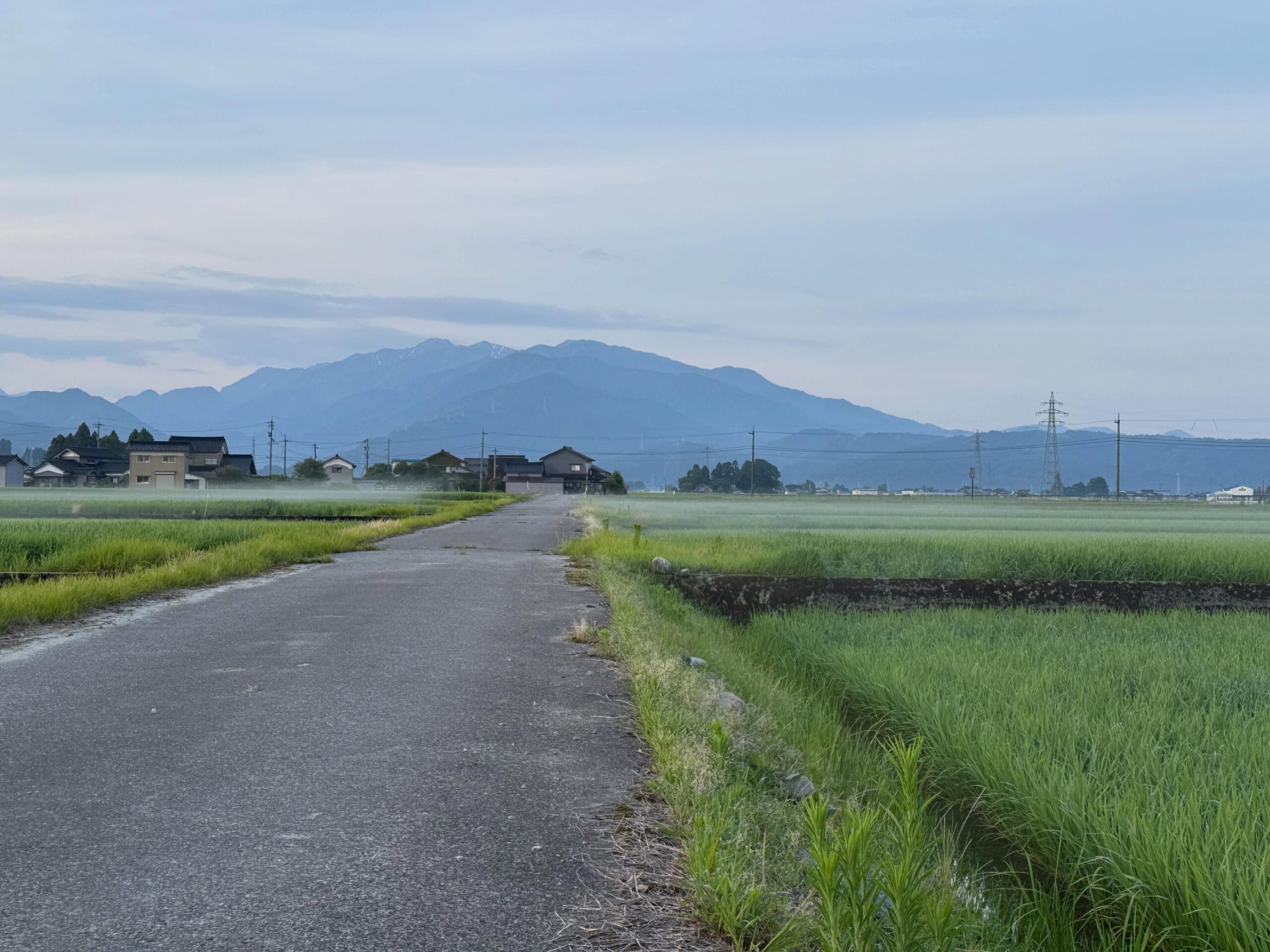Instagramに投稿しました