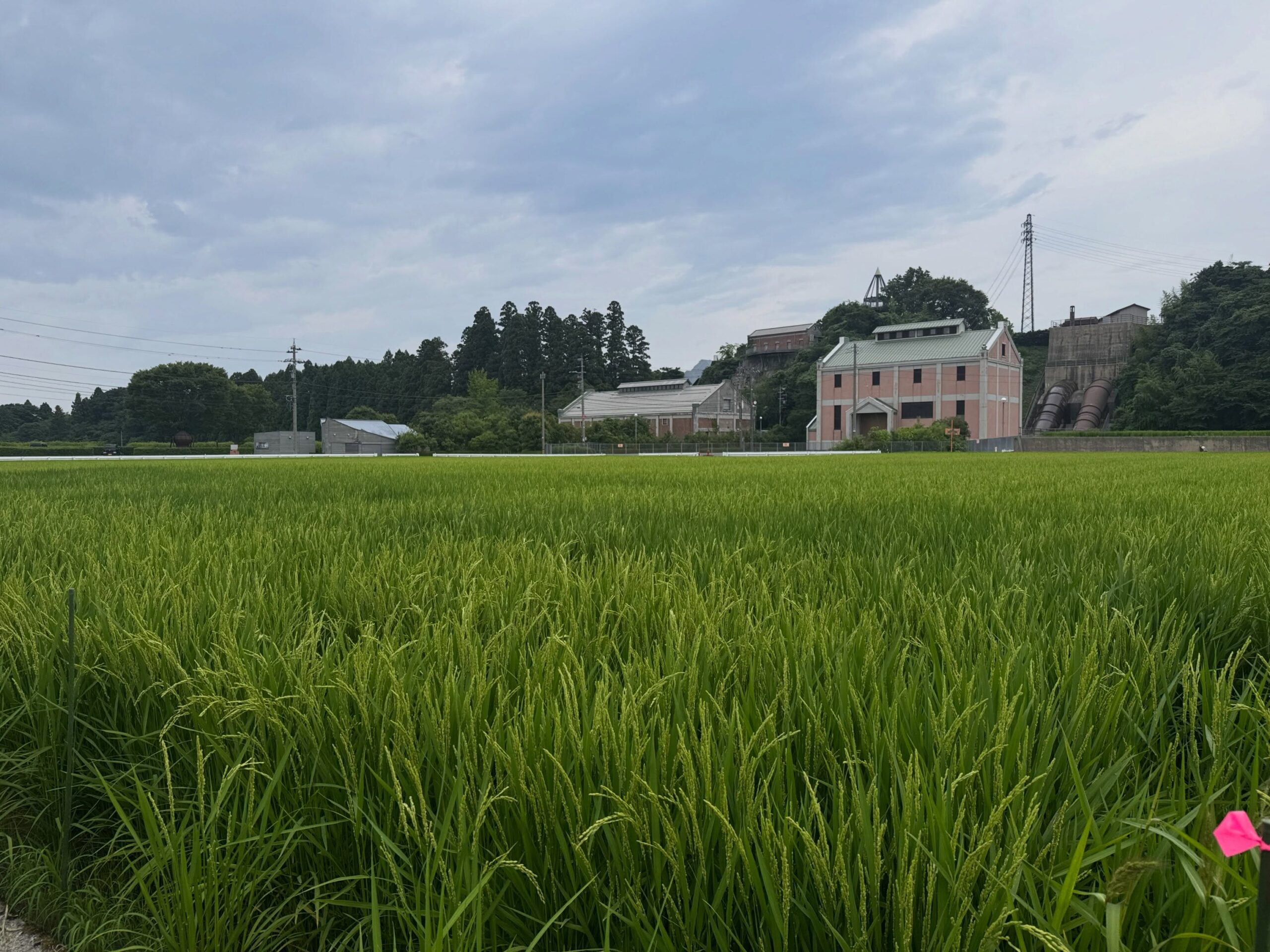 Instagramに投稿しました