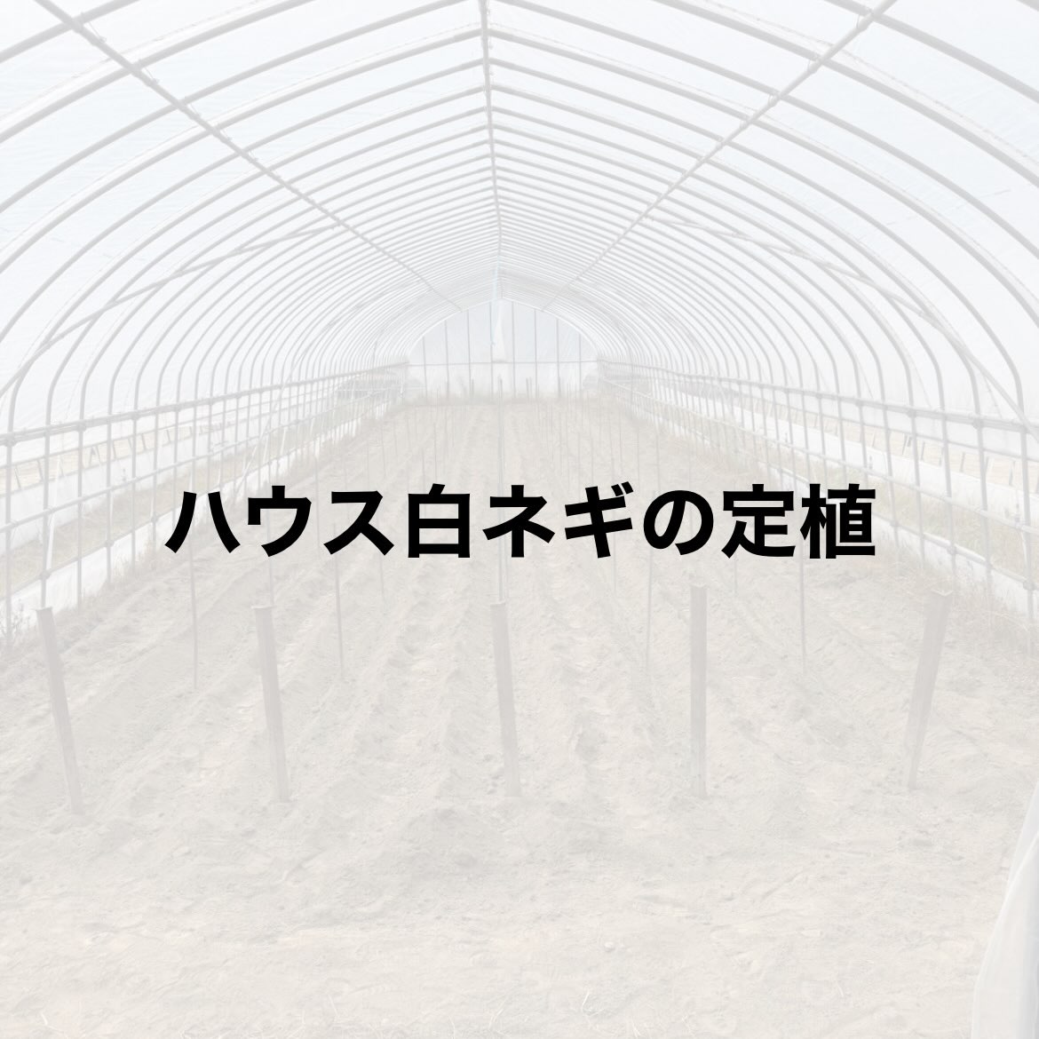 Instagramに投稿しました