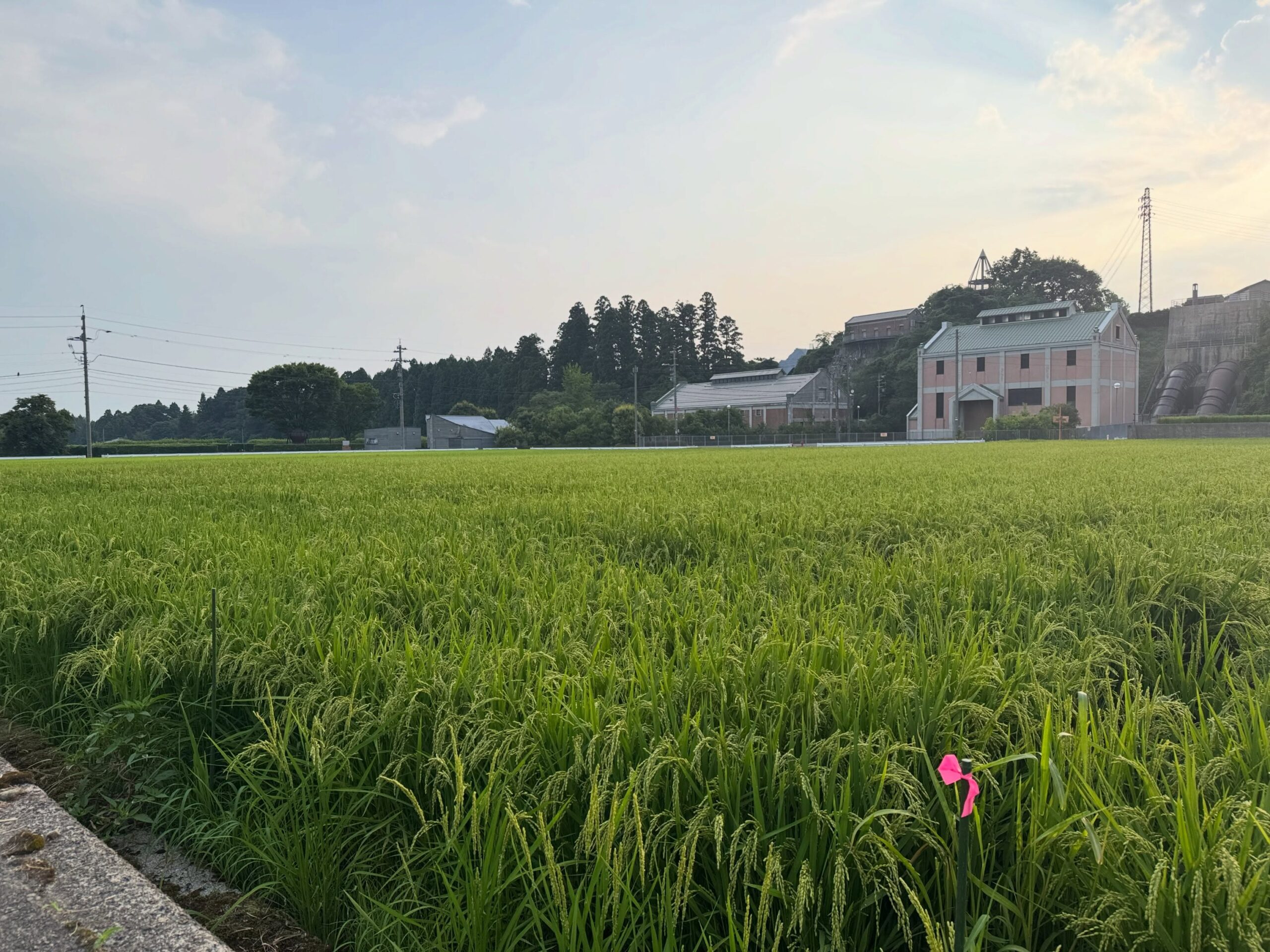 Instagramに投稿しました