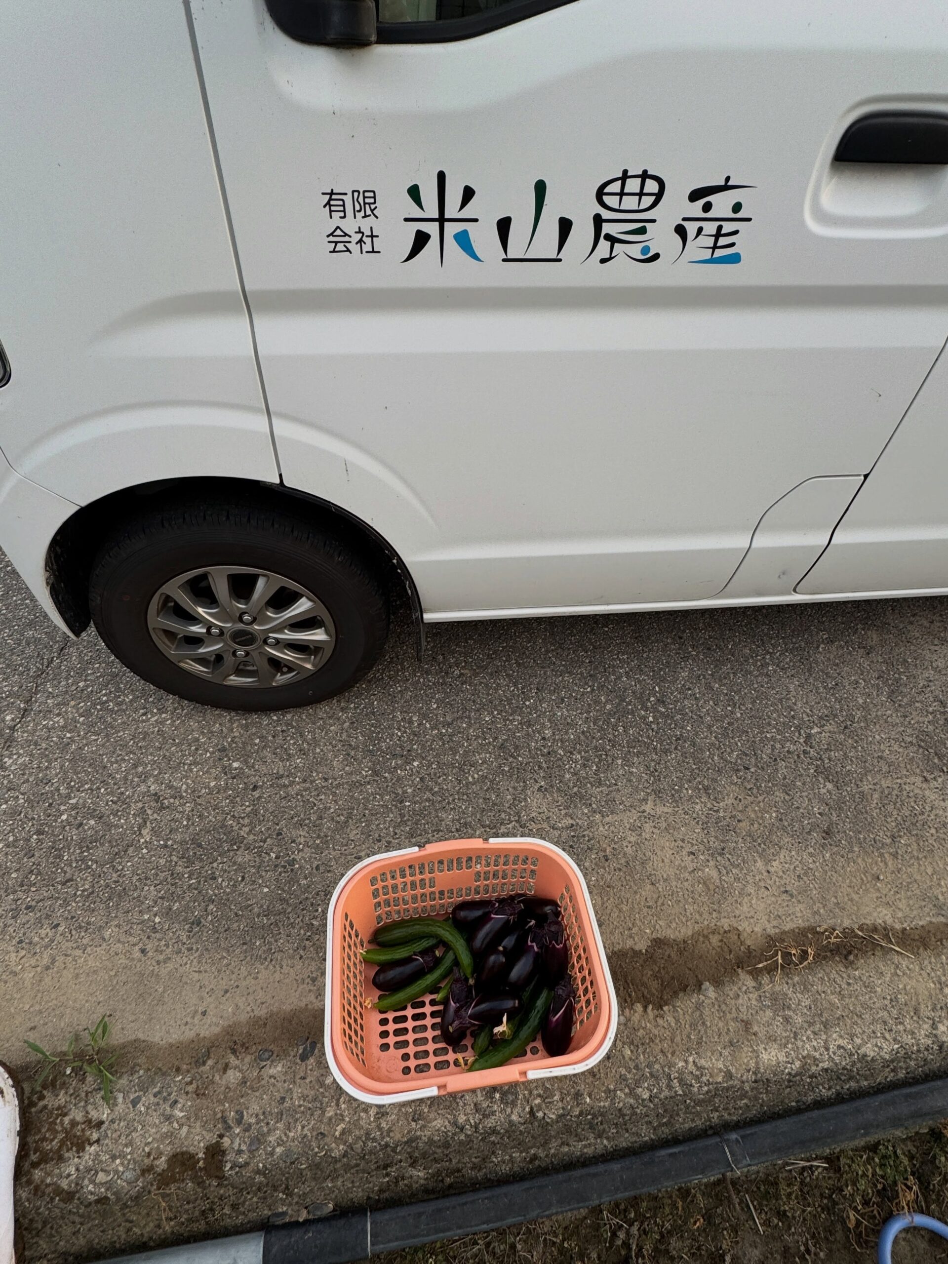 Instagramに投稿しました