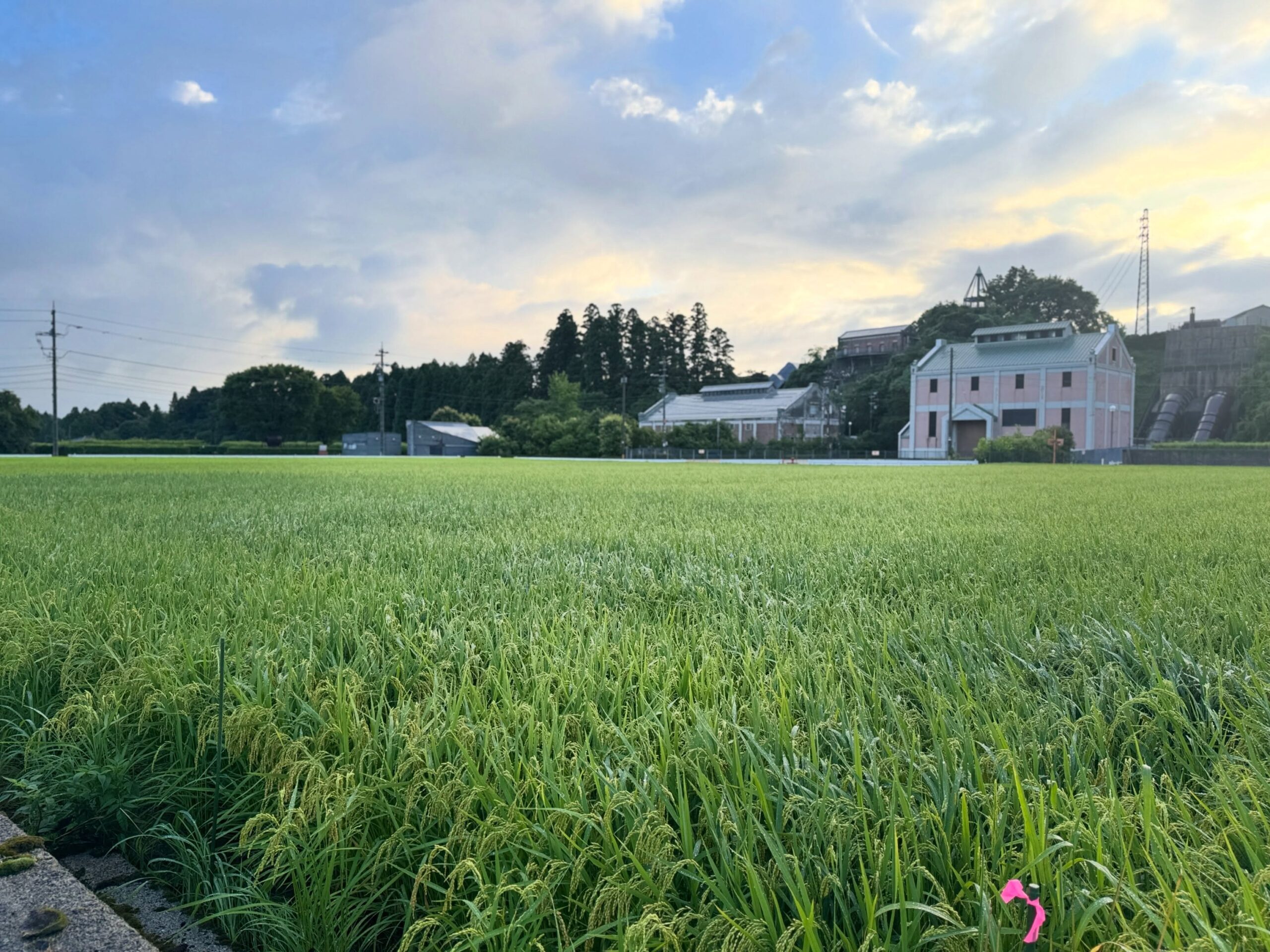 Instagramに投稿しました