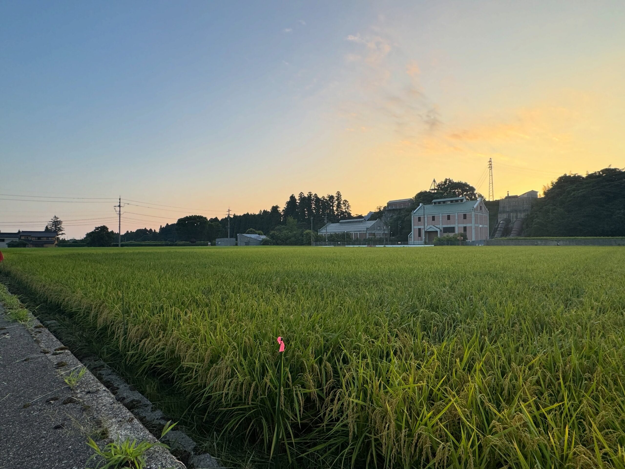 Instagramに投稿しました