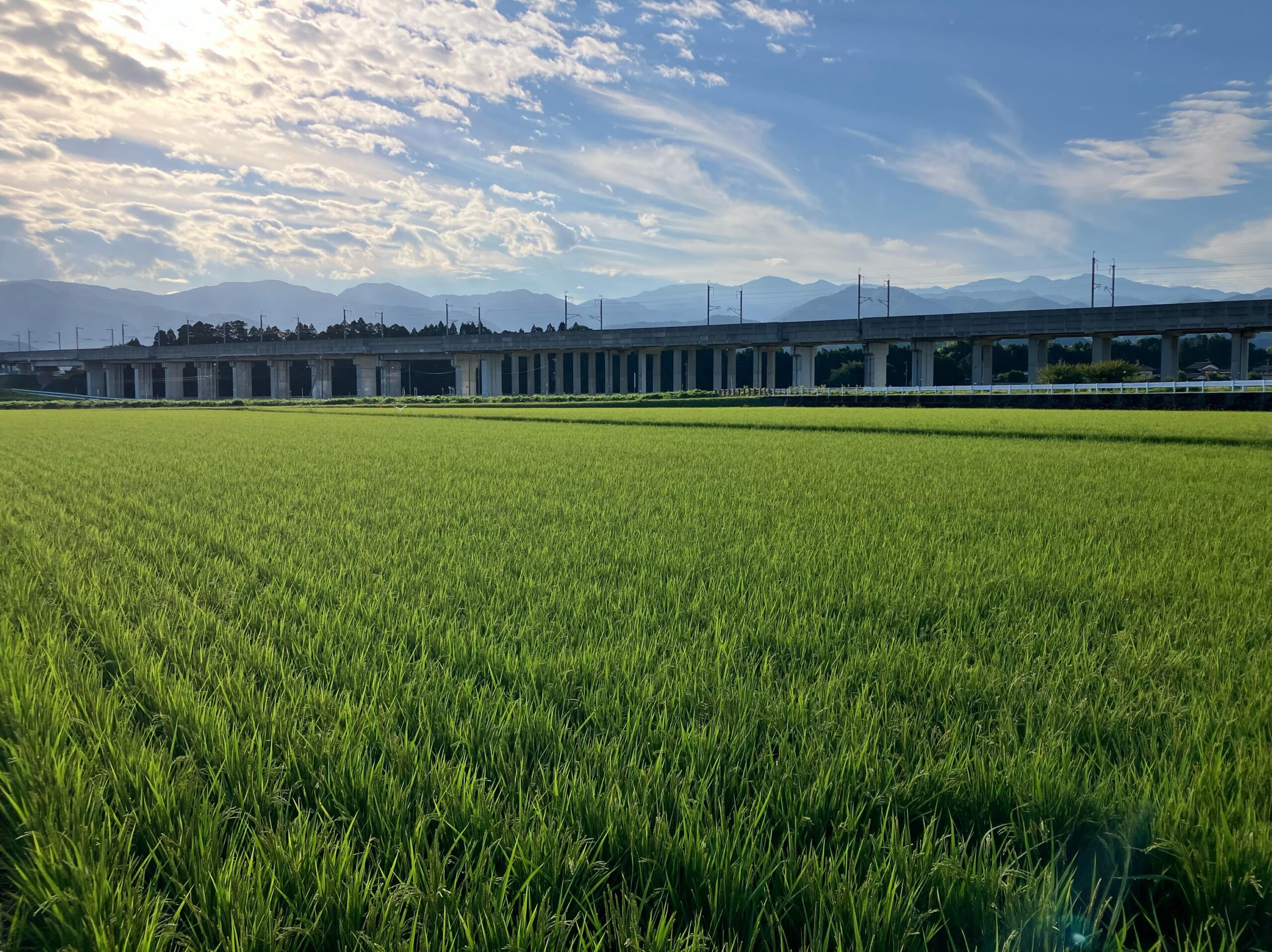 Instagramに投稿しました
